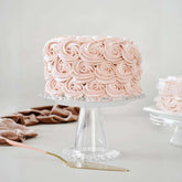 Pink Rosette Vanilla Round Cake